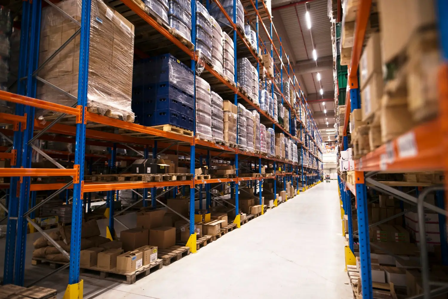 Cold Storage vs Gudang Biasa: Mana yang Dibutuhkan Bisnismu?